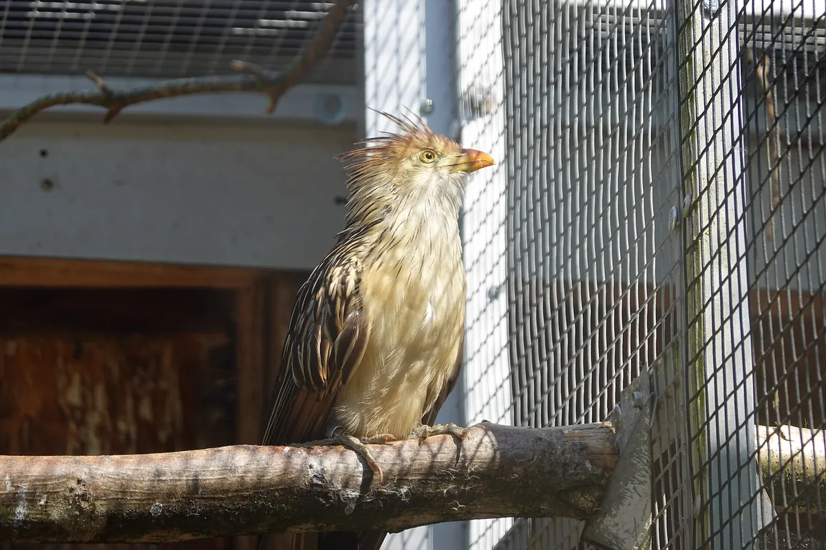 Vogelpark Turnersee