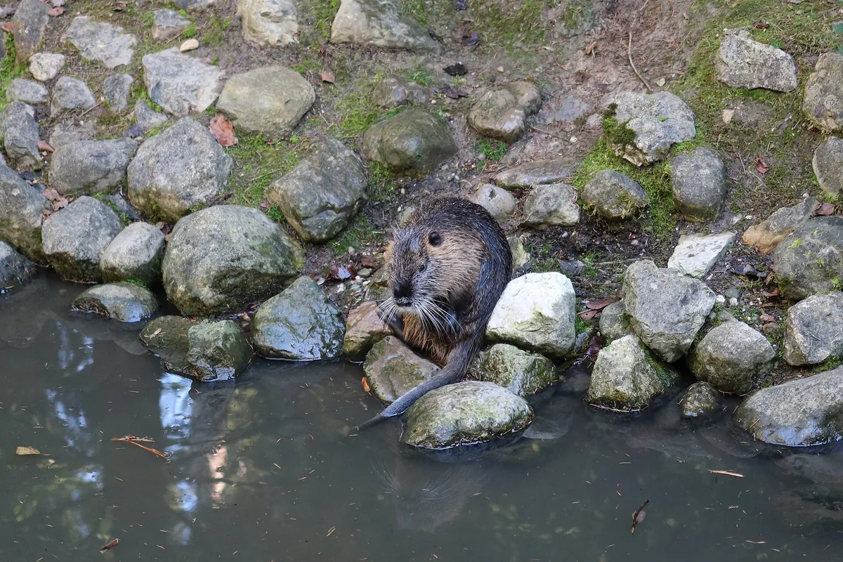 Bergtierpark Blindham