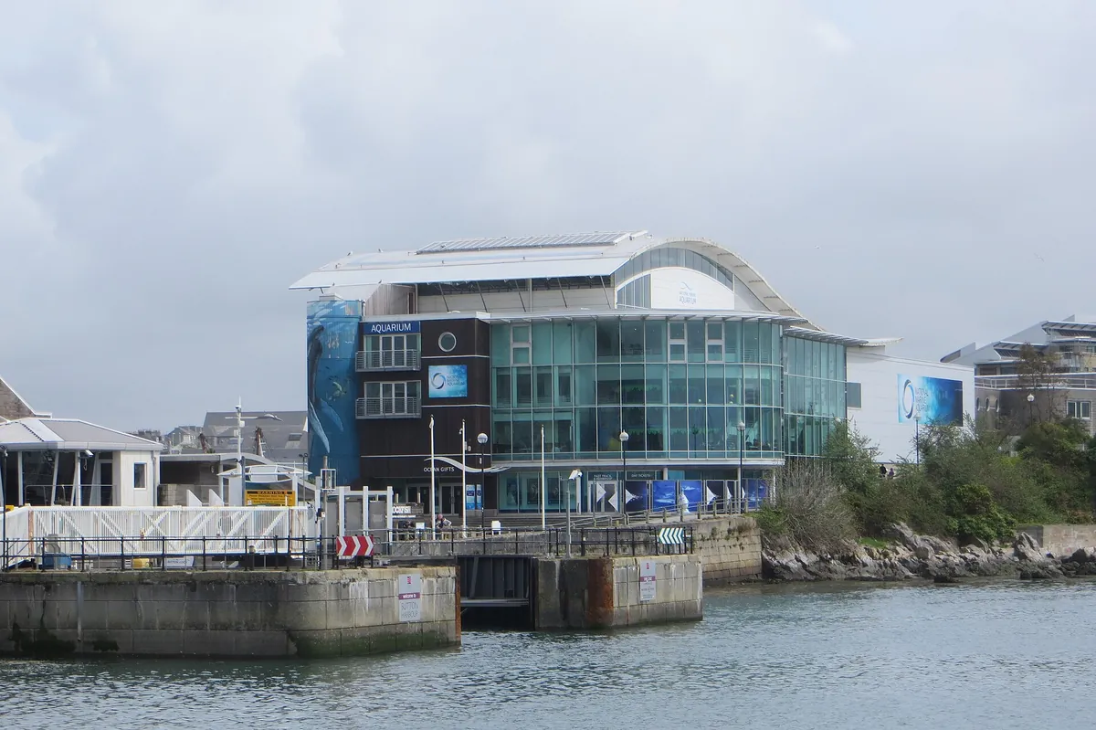 National Marine Aquarium