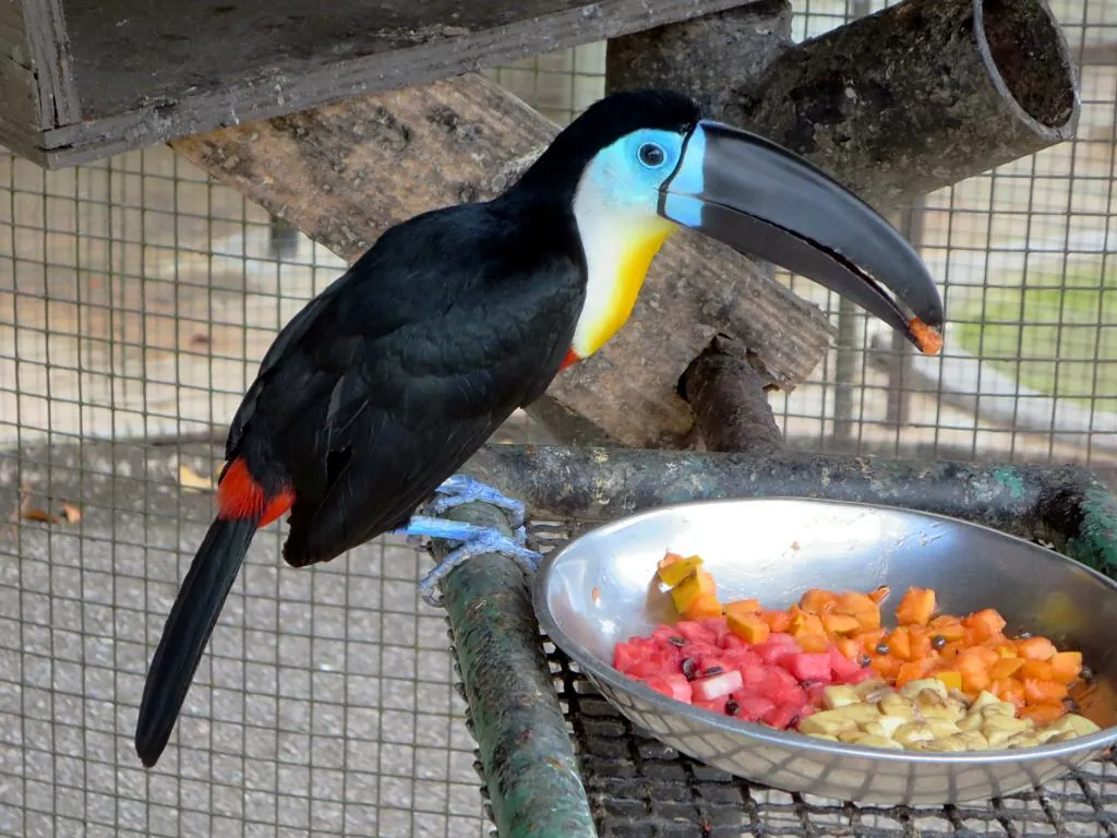 Emperor Valley Zoo