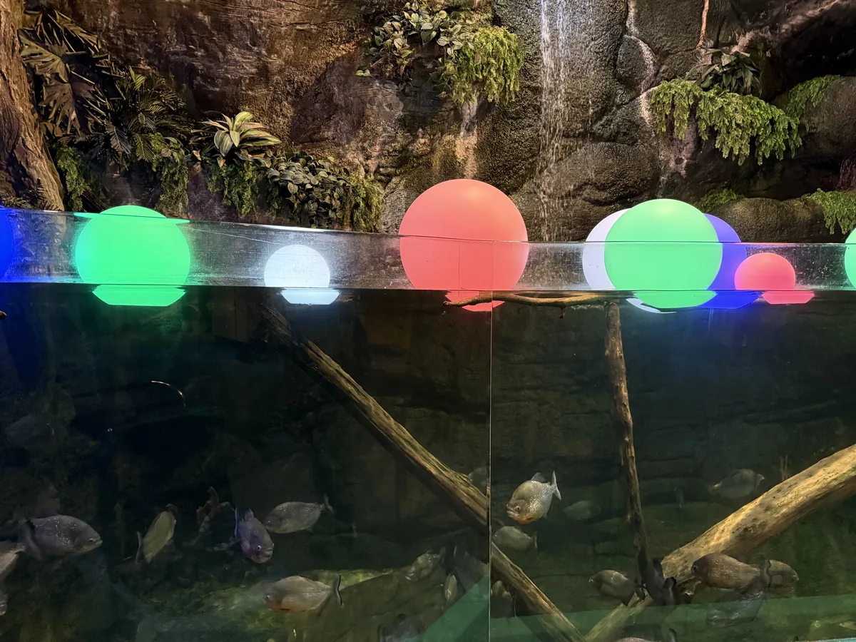 Adventure Aquarium