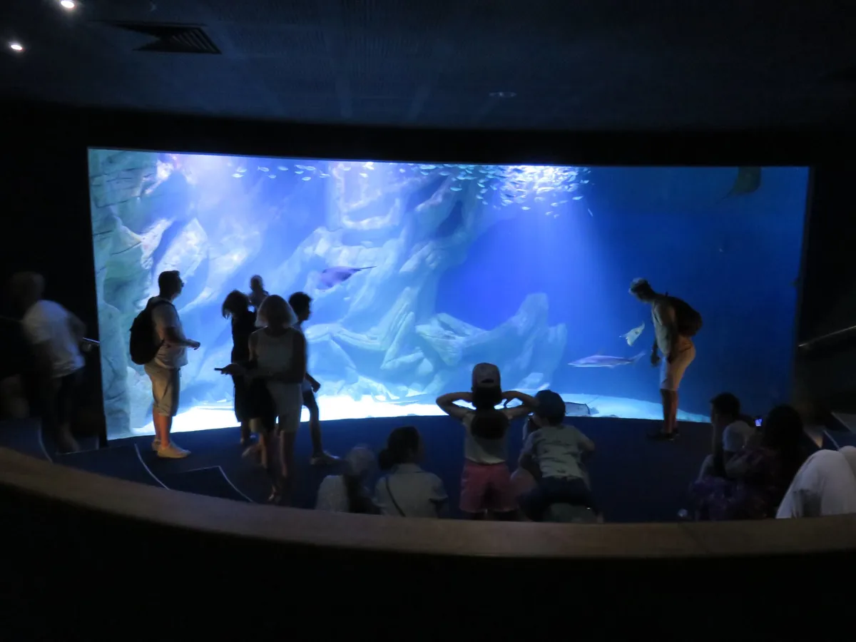 Aquarium de La Rochelle