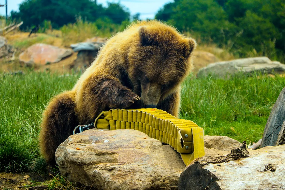 Oakland Zoo
