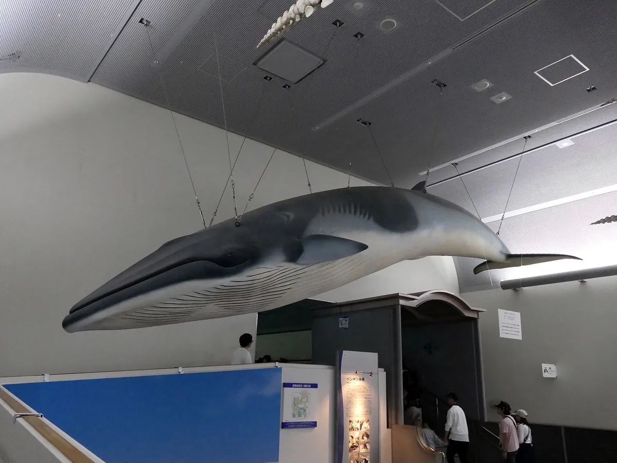 Port of Nagoya Public Aquarium