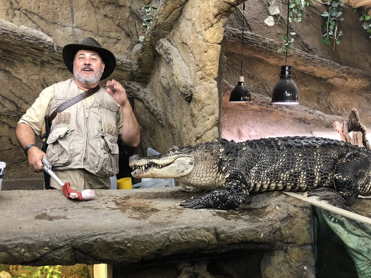 The Reptile Zoo