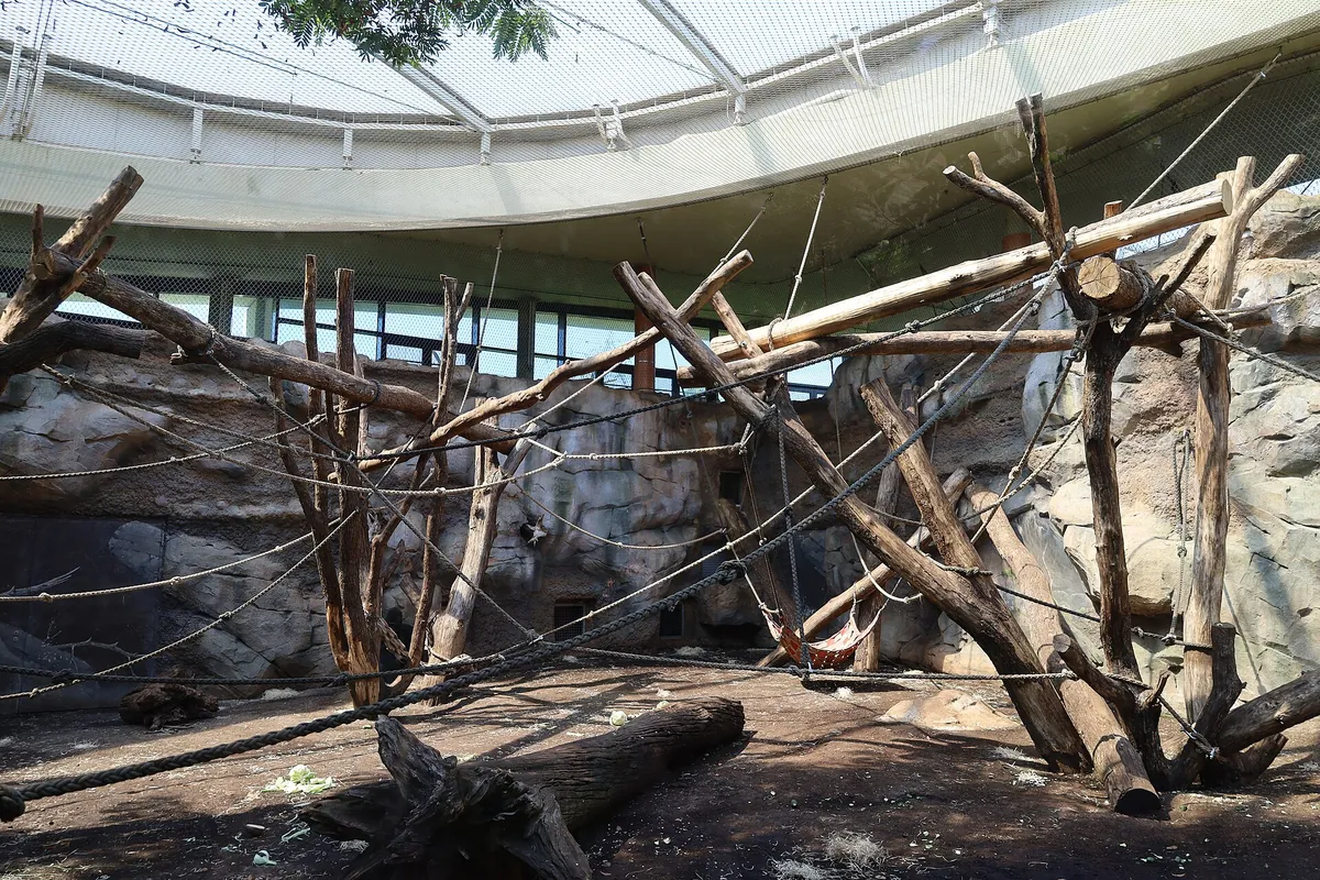 Zoo Frankfurt