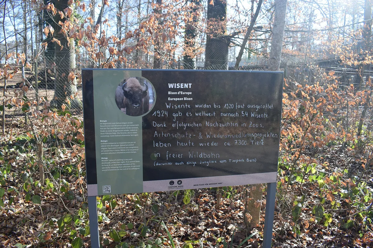Tierpark Dählhölzli