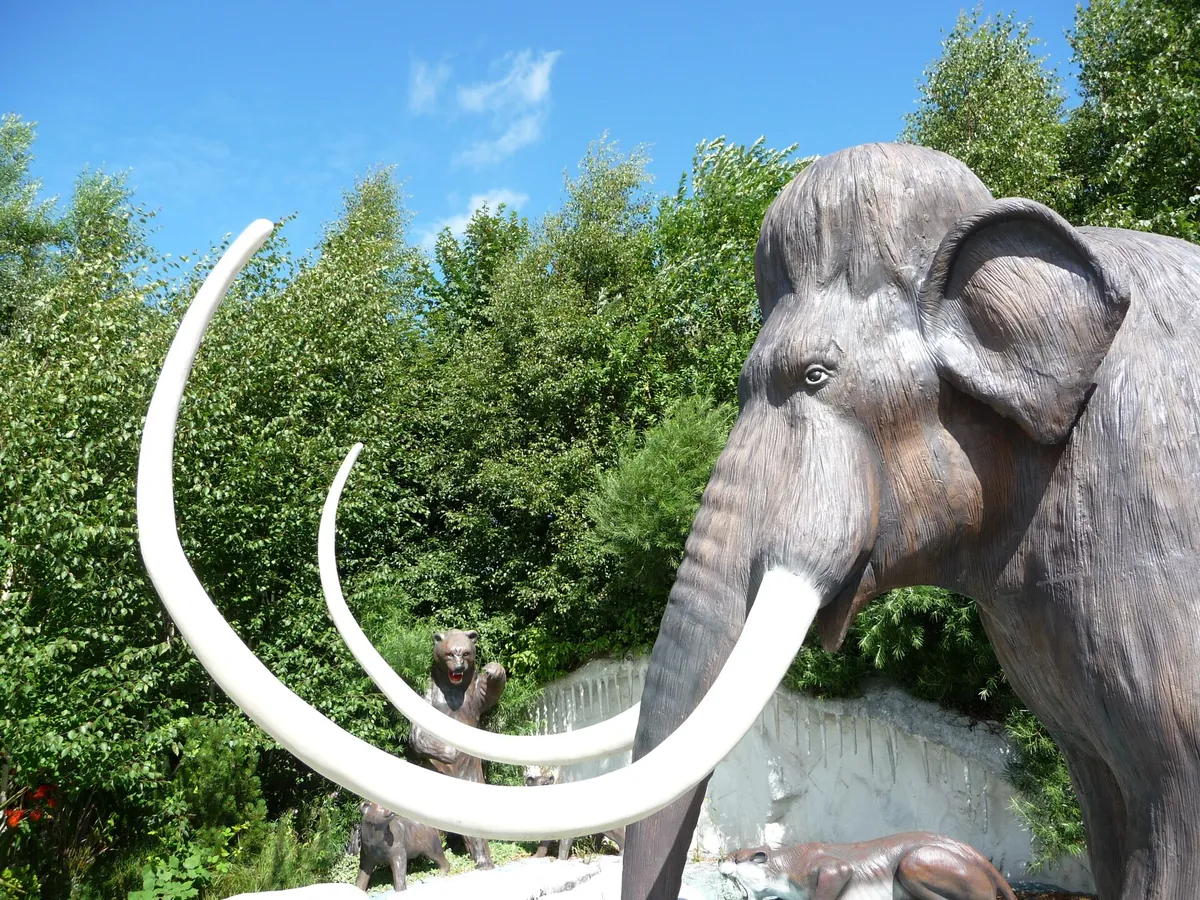 Blackpool Zoo