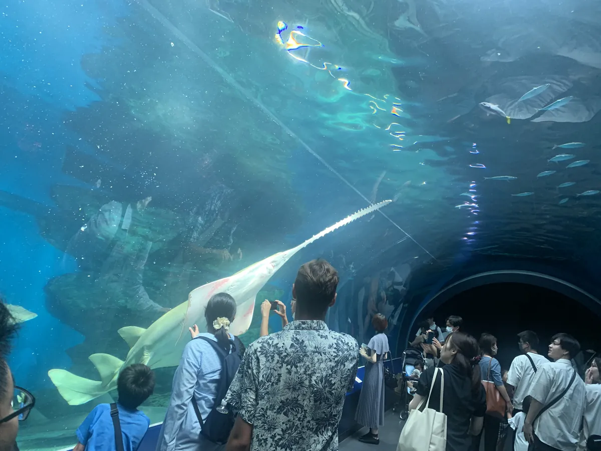 Aqua Park Shinagawa