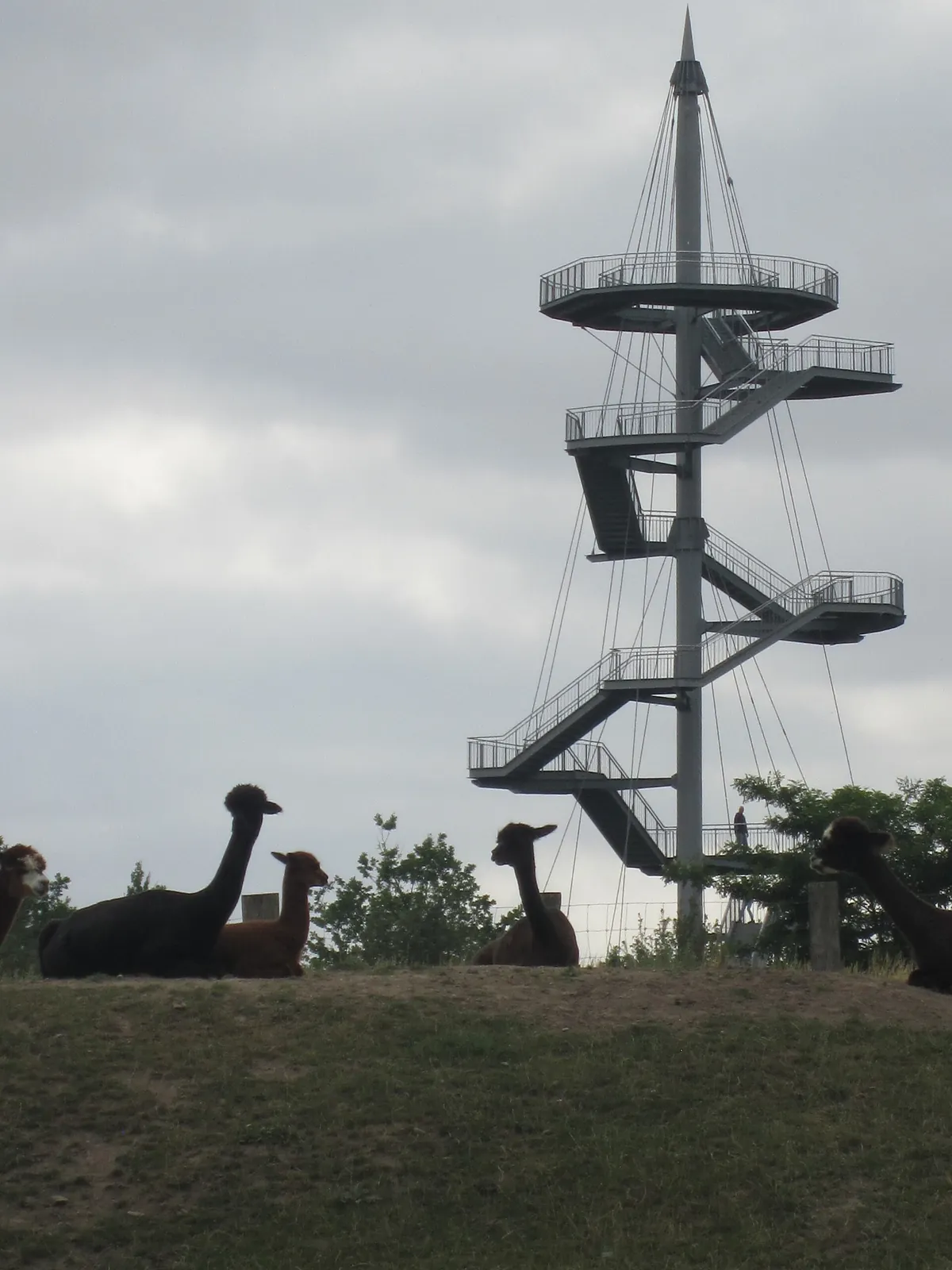 Tierpark Wismar