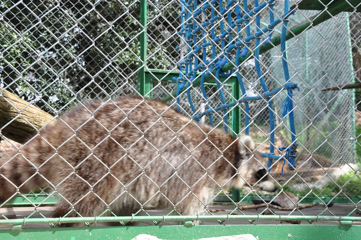 Zoo du Mont Faron