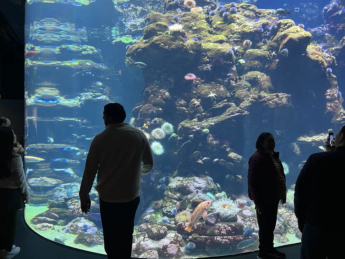 Steinhart Aquarium