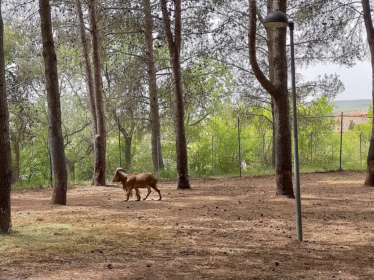 PARQUE ZOOLÓGICO DE GUADALAJARA