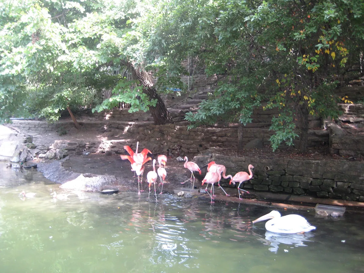 John Ball Zoo