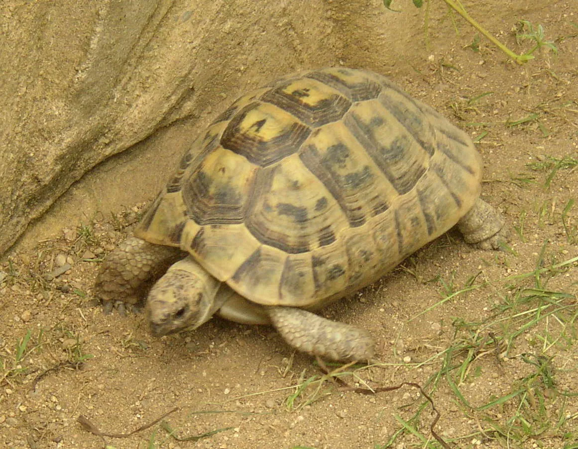 Zoopark Zájezd