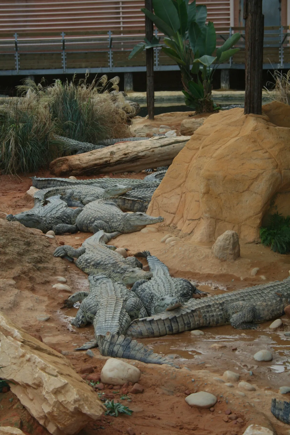 La Ferme aux crocodiles