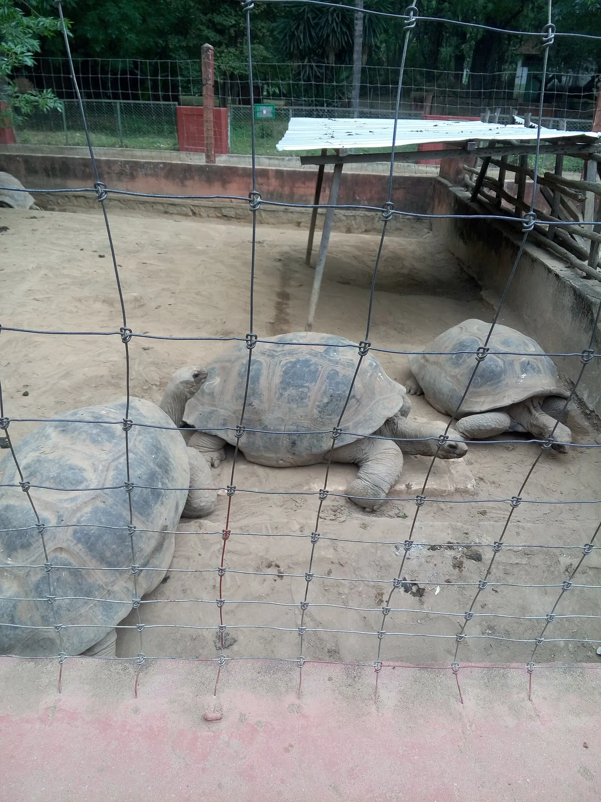 Botanical and Zoological Garden of Tsimbazaza