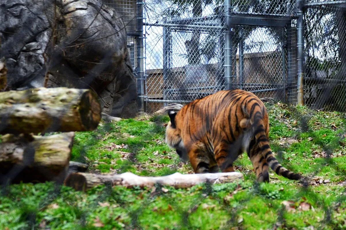 Zoo Knoxville