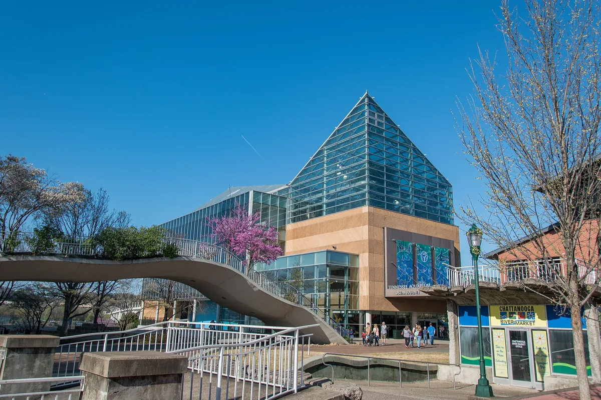 Tennessee Aquarium