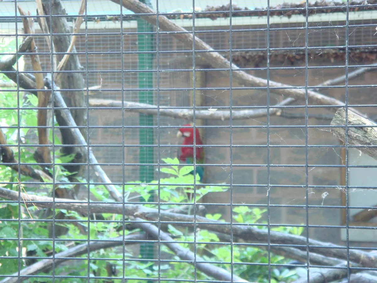 Riverviewpark Andzoo