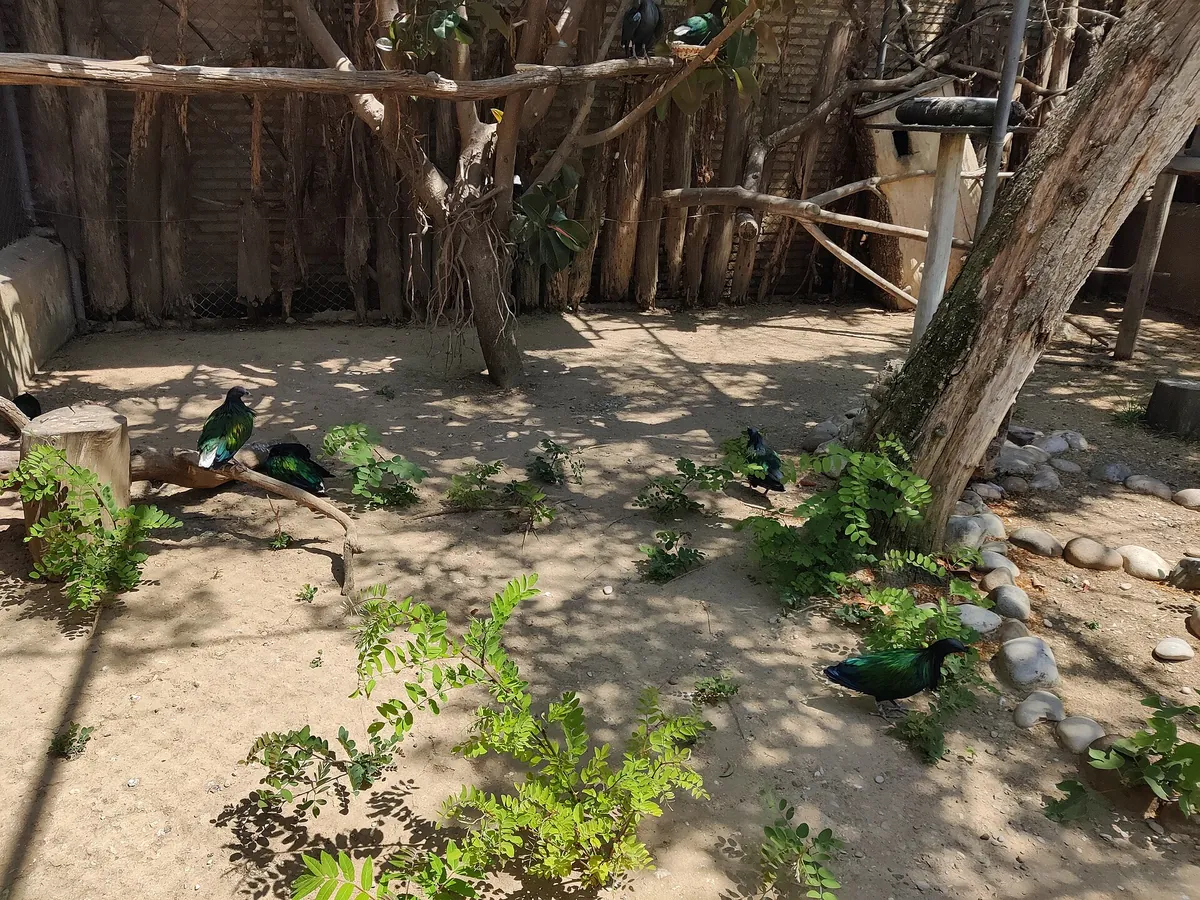 Zoobotánico Jerez