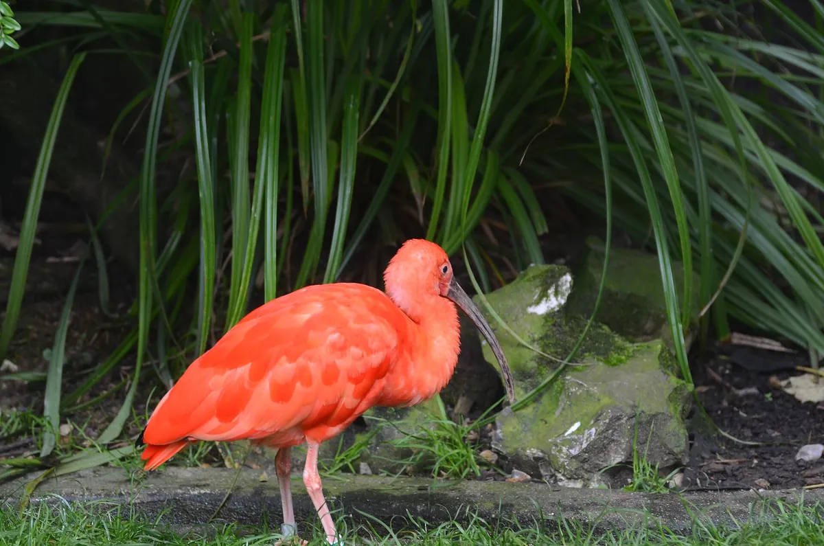 Cleres Zoological Park