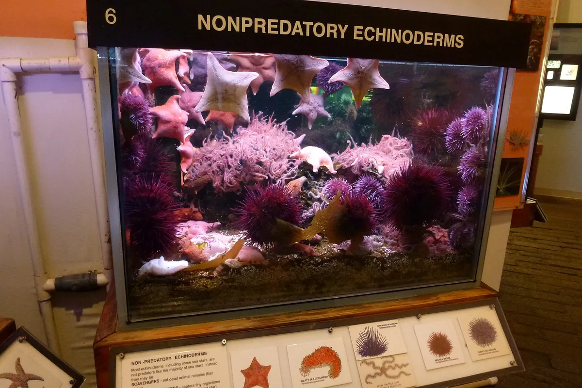 Cabrillo Marine Aquarium