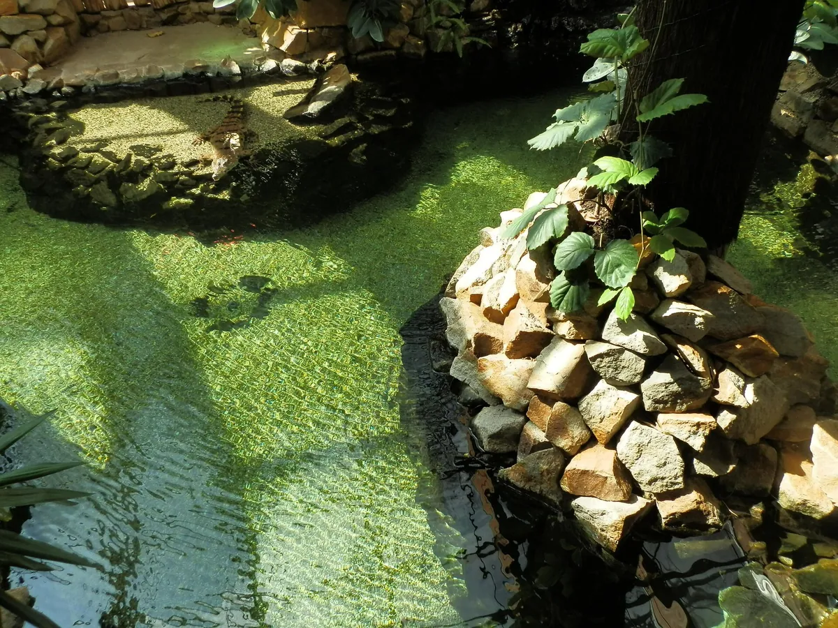Ostrava Zoo