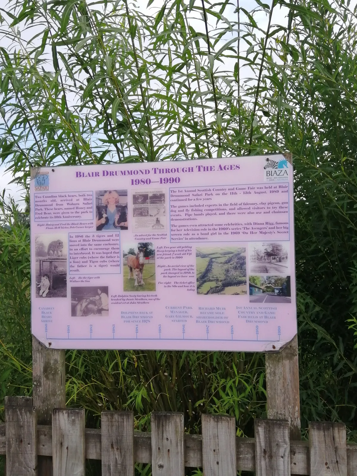 Blair Drummond Safari and Adventure Park