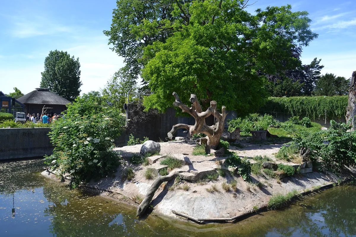 Copenhagen Zoo