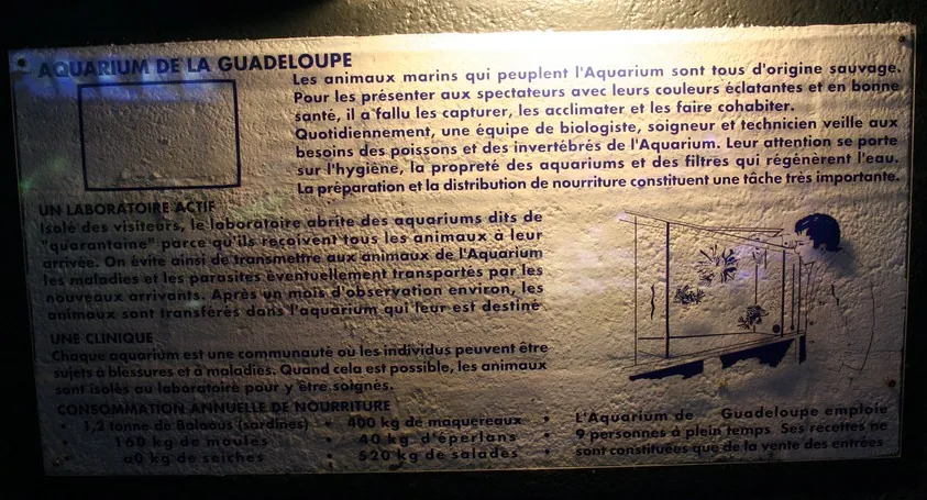 Aquarium de Guadeloupe