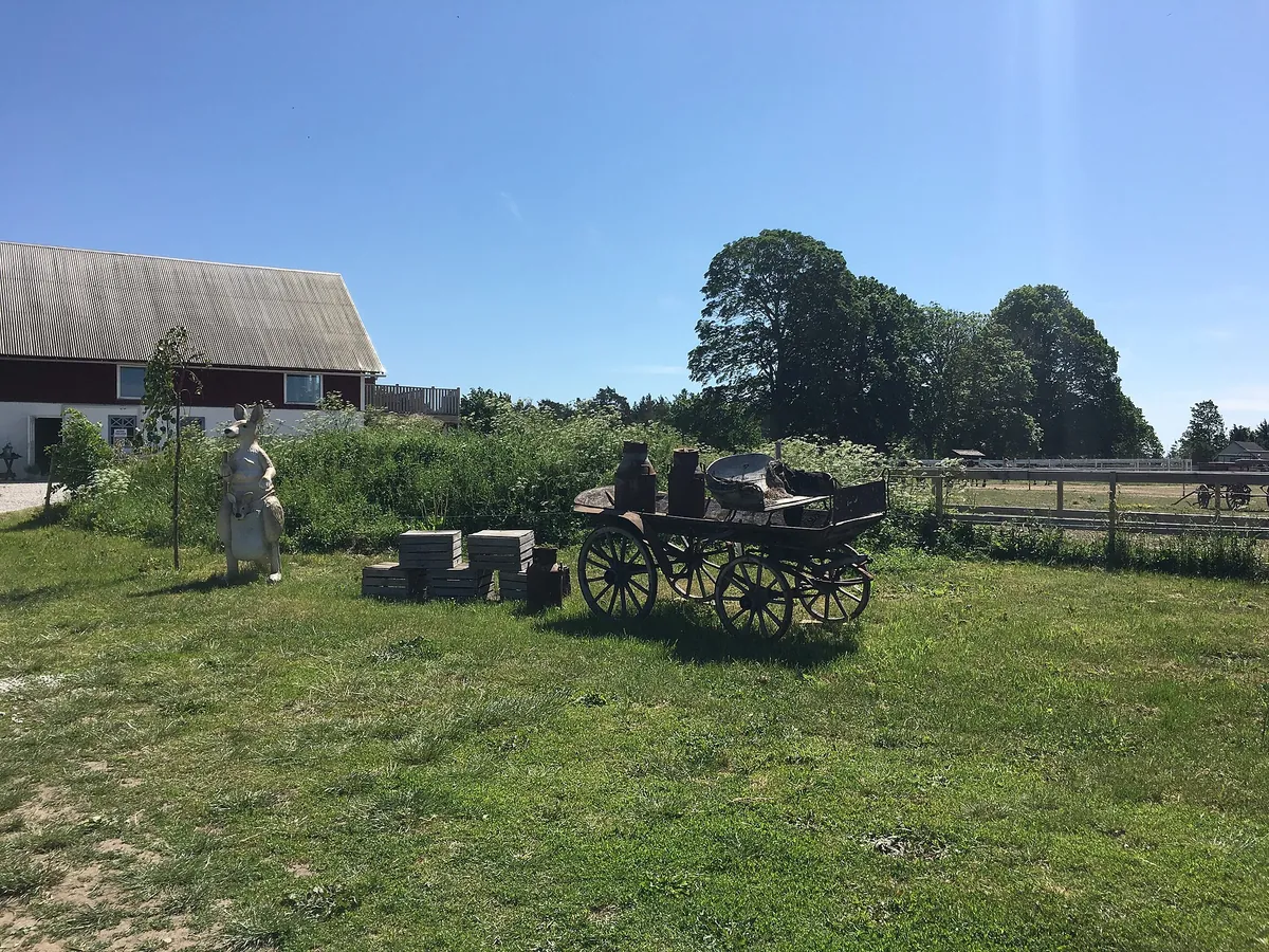 Gotland animal park