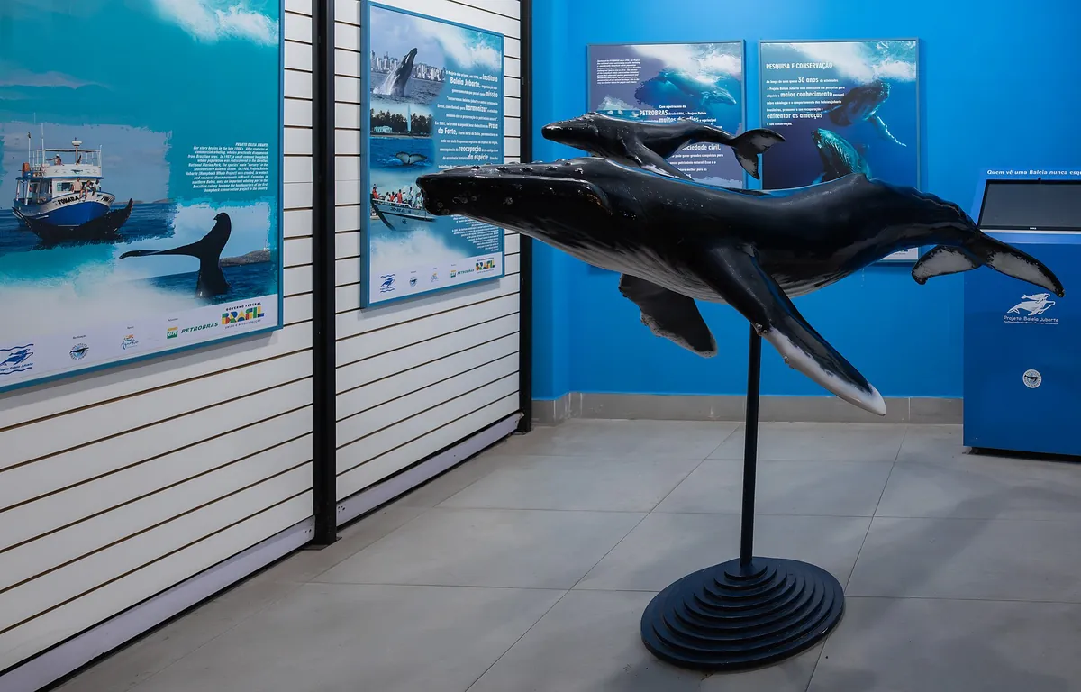 AquaRio