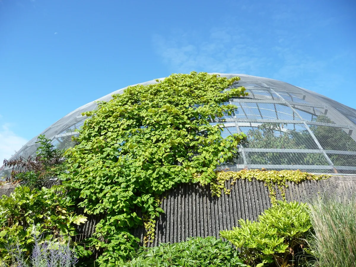 Blackpool Zoo