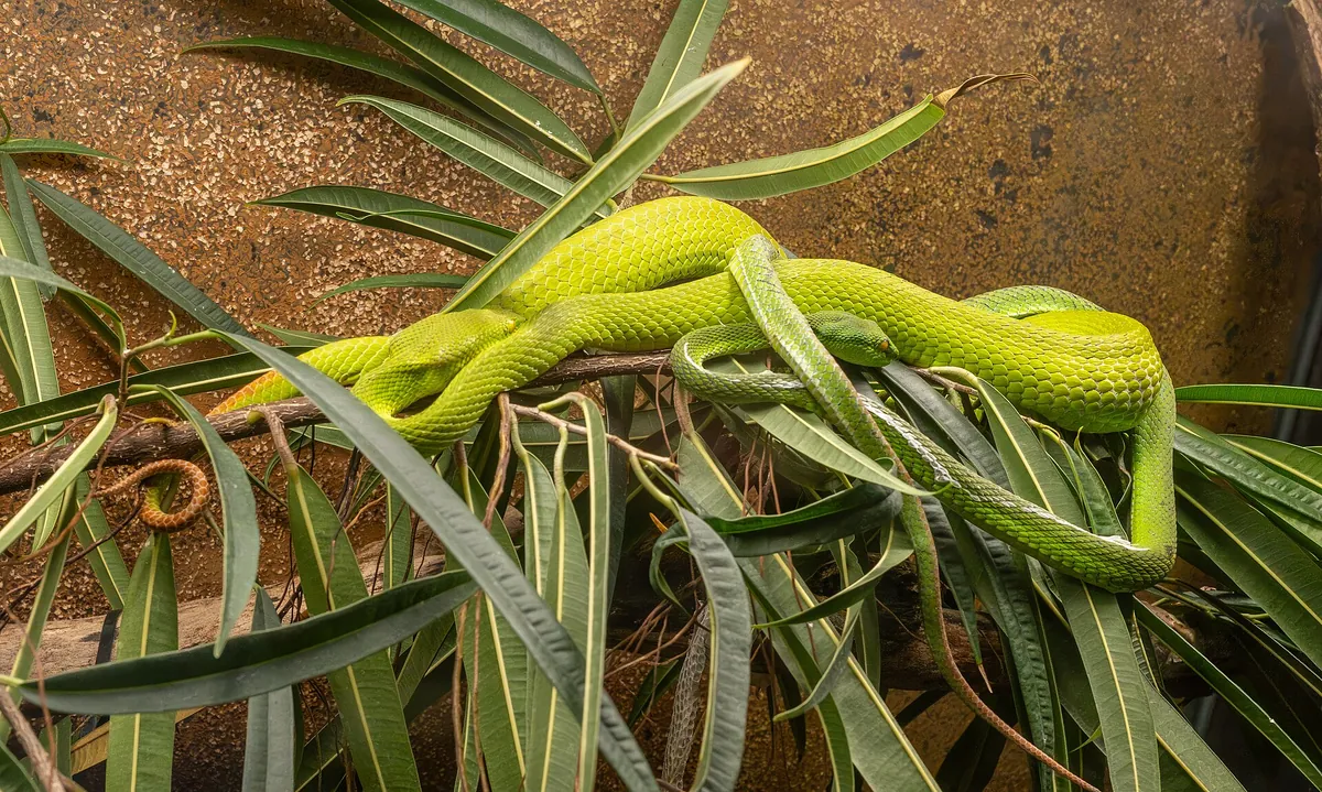 Exotarium Oberhof
