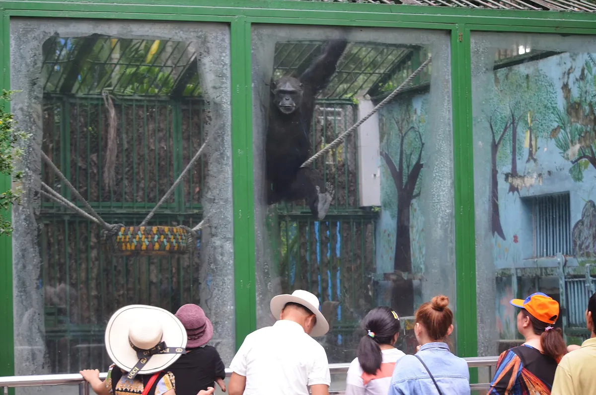 Saigon Zoo and Botanical Gardens