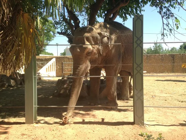 CENTRO DE CONSERVACIÓN ZOO CÓRDOBA
