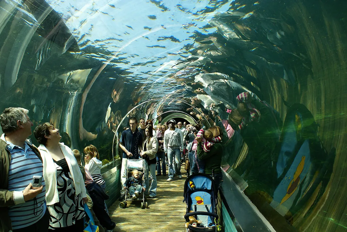 Colchester Zoo
