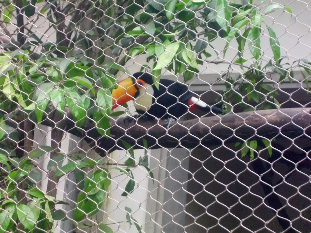Hangzhou Zoo
