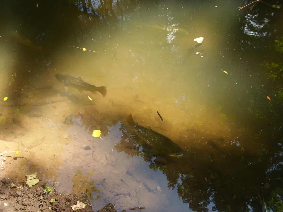 Wildpark Gersfeld