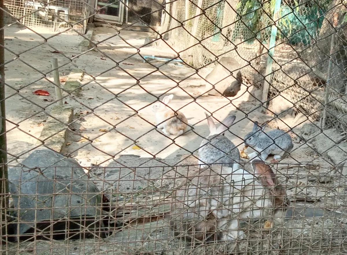 Yangon Zoological Gardens