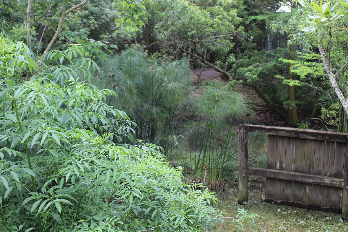 Jacksonville Zoo and Gardens