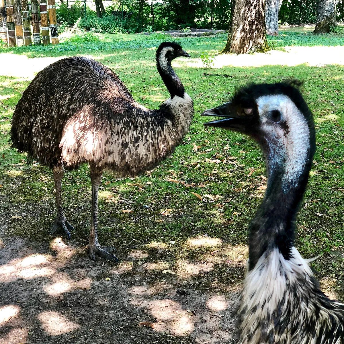 Tiergarten Straubing