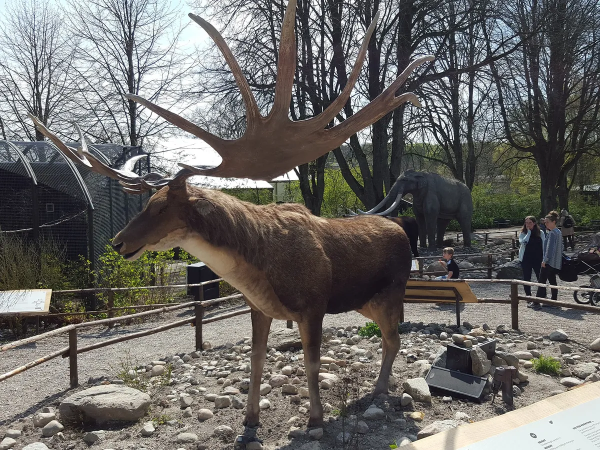 Aalborg Zoo