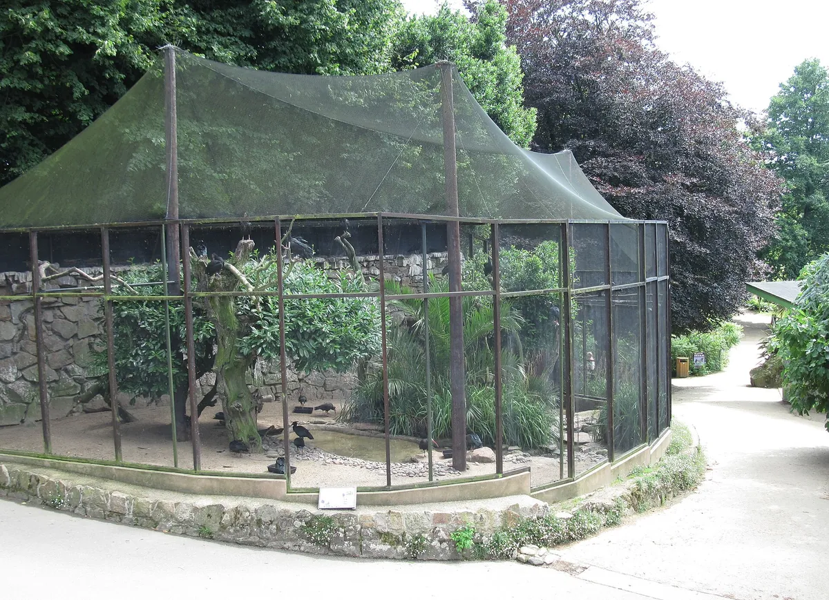 Jersey Zoo