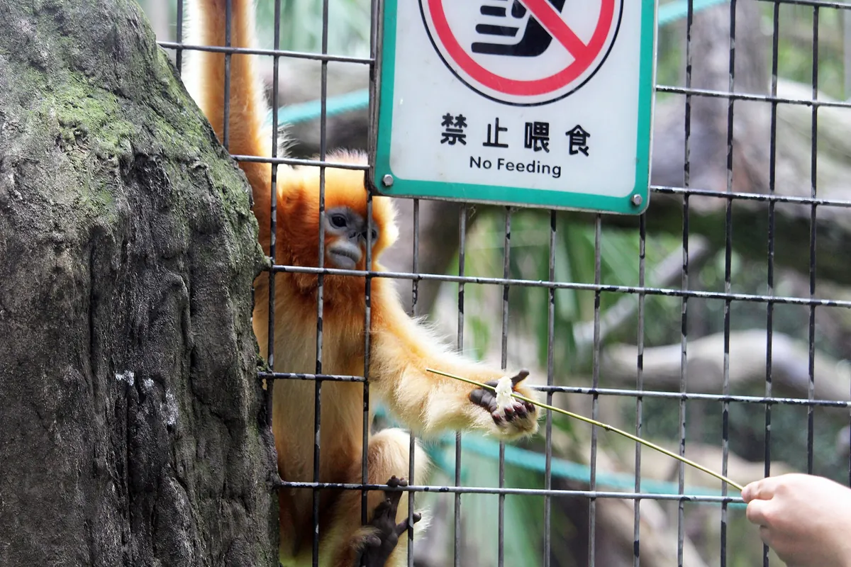 Shanghai Zoo
