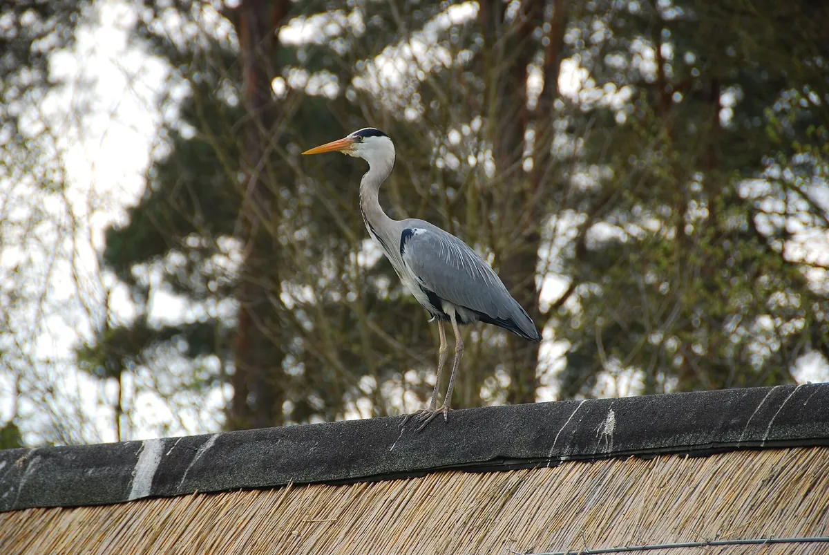 Tierpark Ueckermünde