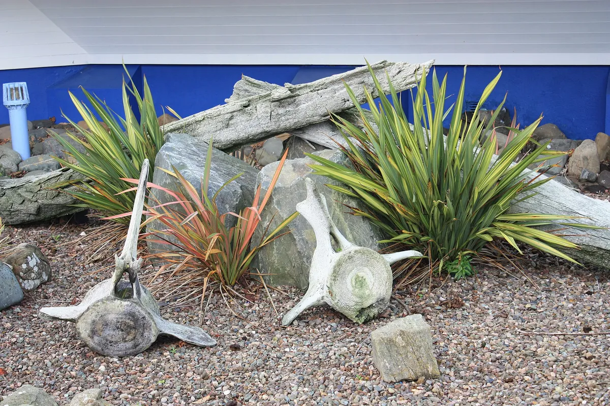 Exploris Aquarium