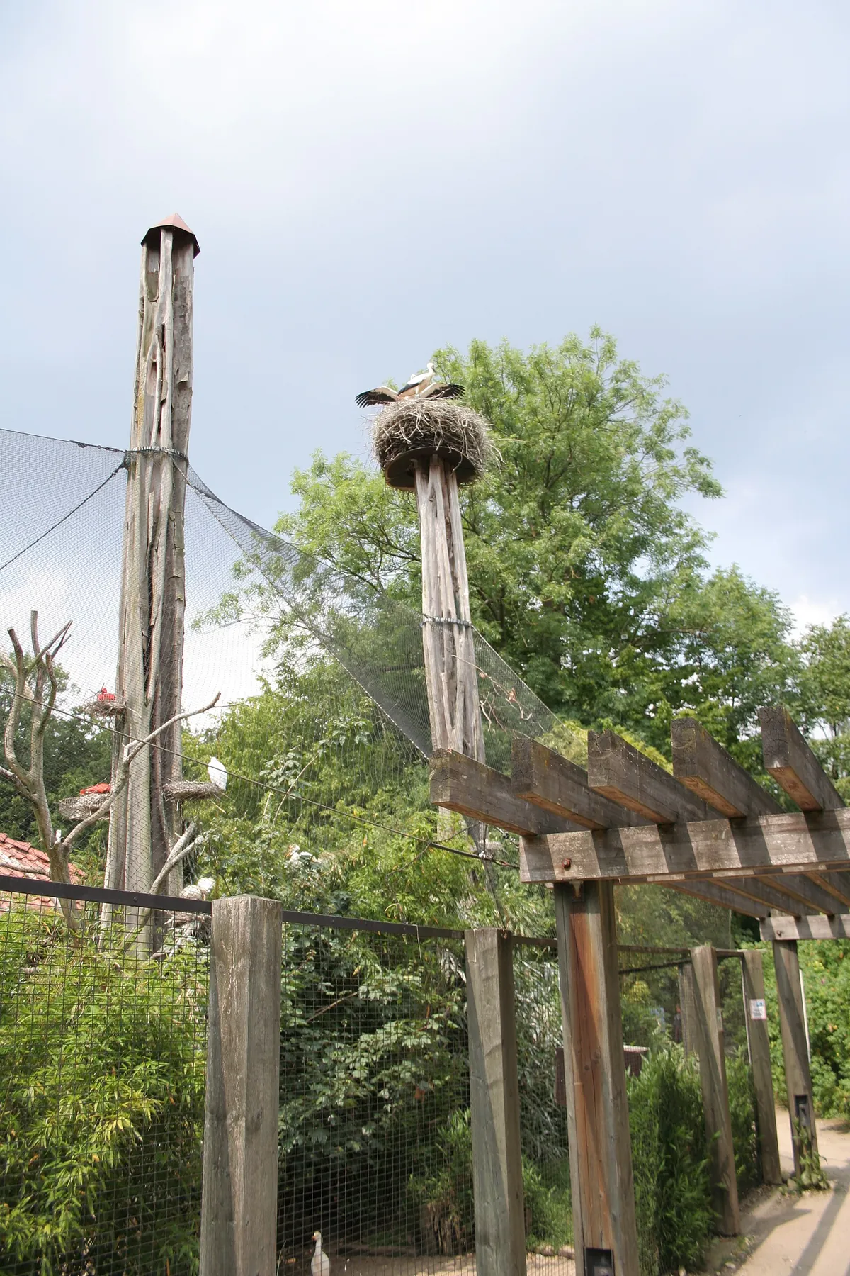 Zoo Osnabrück
