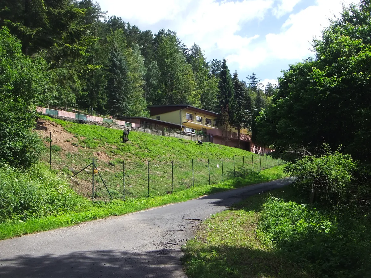 TerraZoo Sontra